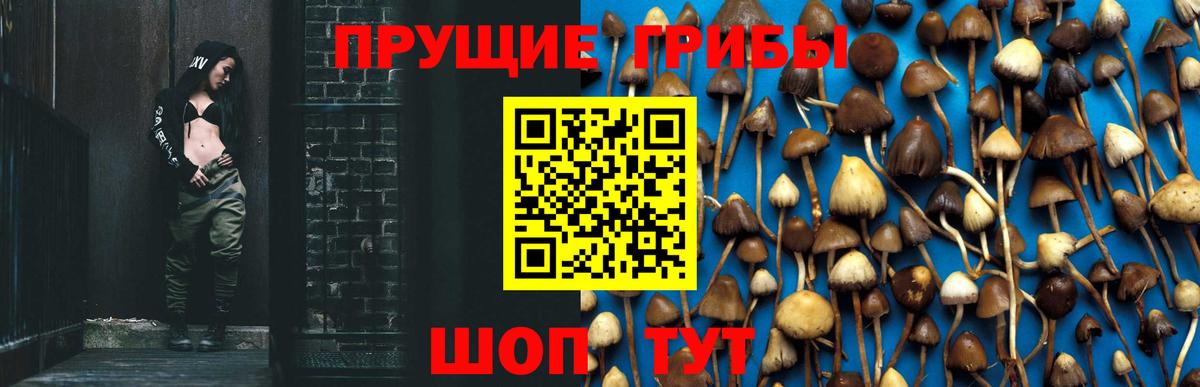 Псилоцибиновые грибы Cubensis  Вход с VPN  Гулькевичи 